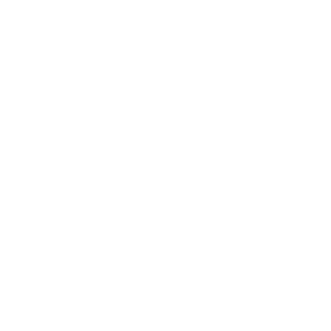 dallas-ai